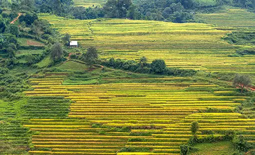 HoABL Mathura Images