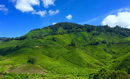 HoABL Mathura Images