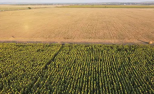 HoABL Mathura Images